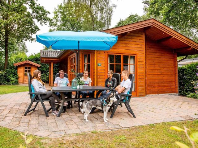 Wooden chalet close to National Park De Veluwe