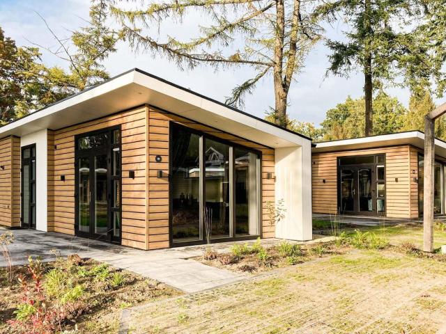 Modern chalet close to De Veluwe