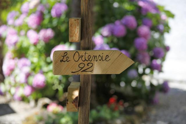 Le ortensie di Villa Vittoria nel verde a pochi minuti di auto dalle spiagge