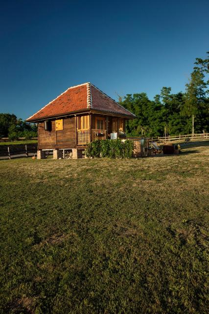 Tiny house AMBAR