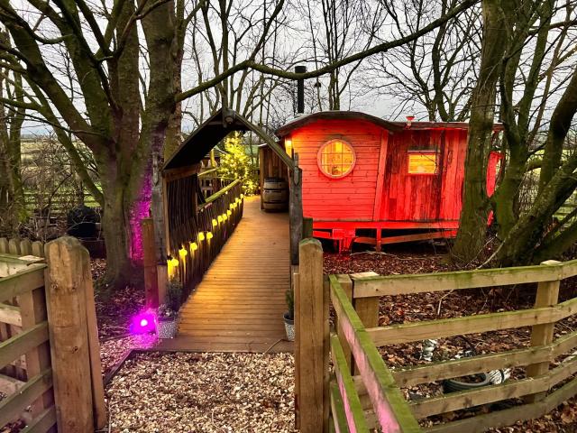 Hide Away Tree House with Secluded Hot tub