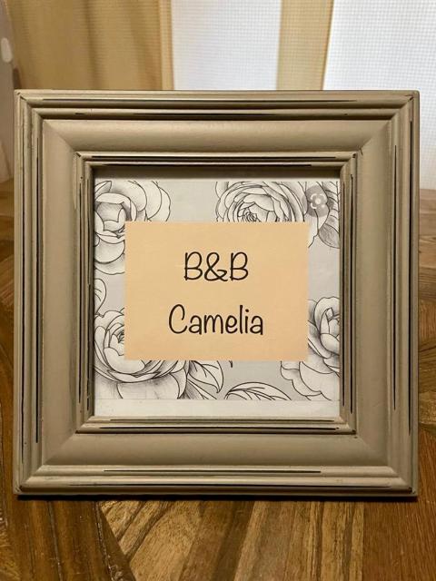 B&B Camelia