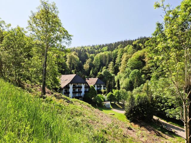 Ferienwohnung in Triberg am Waldrand - idyllisch, ruhig, erholsam