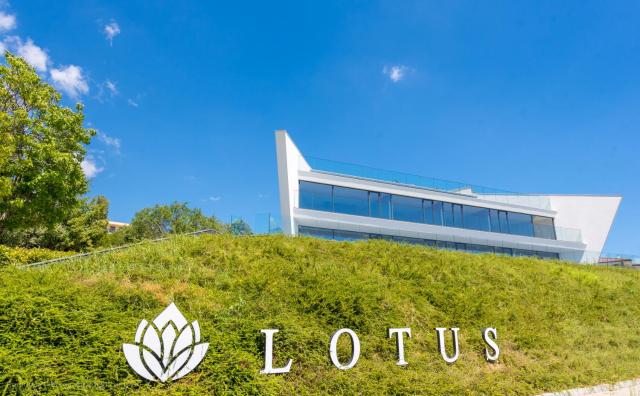 Lotus Luxury Rooms