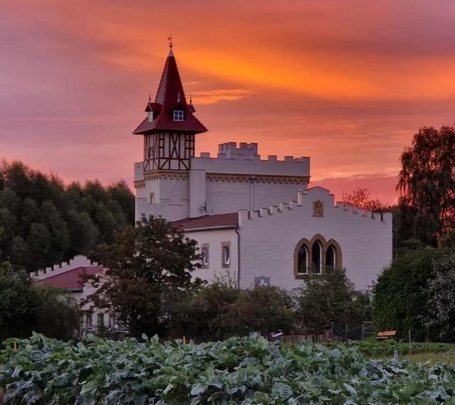 Burg Schleibnitz bei Wanzleben