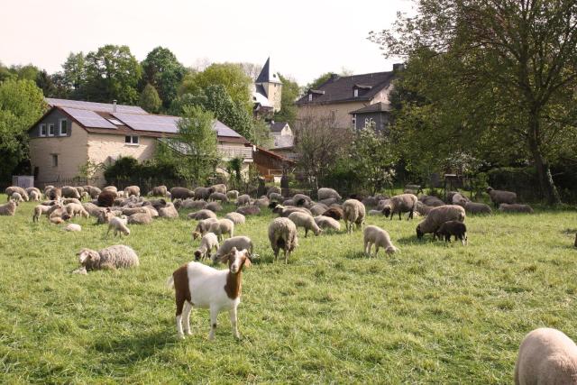 Urlaub im Kunstatelier