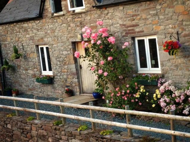 Llwyn Llwyd Cottage