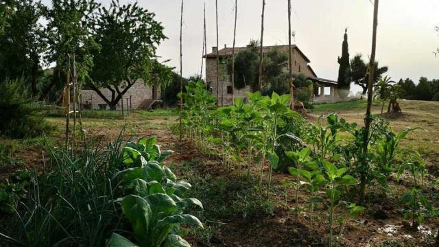 Casa rural restaurante Mas Del Rei