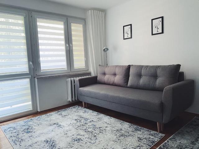 Apartament 23