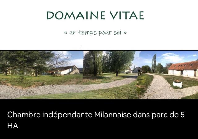 Domaine vitae