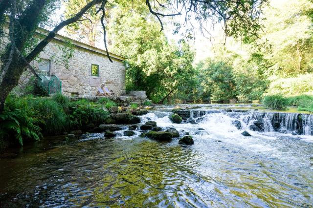 Neiva River House - Azenha Next to the River