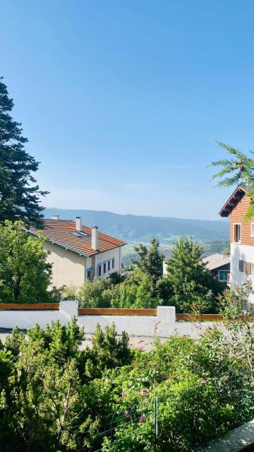 Font-Romeu : T2 avec grande terrasse et garage