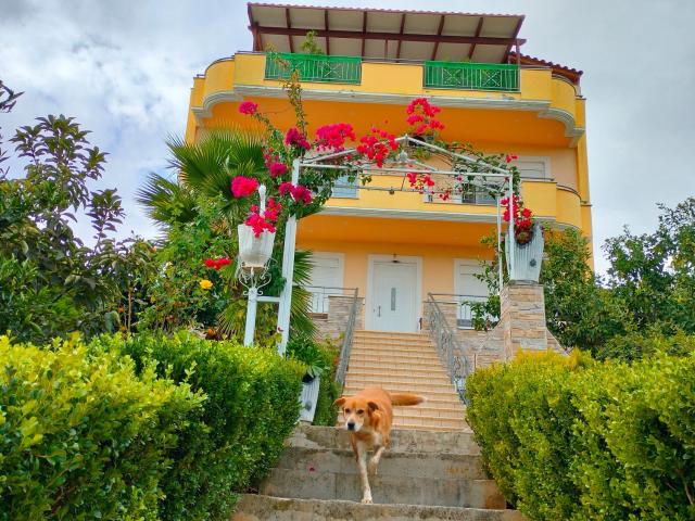 House with Wonderful View