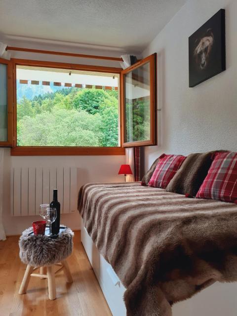 Appartement Studio Fondue chocolat 100m des pistes Wifi