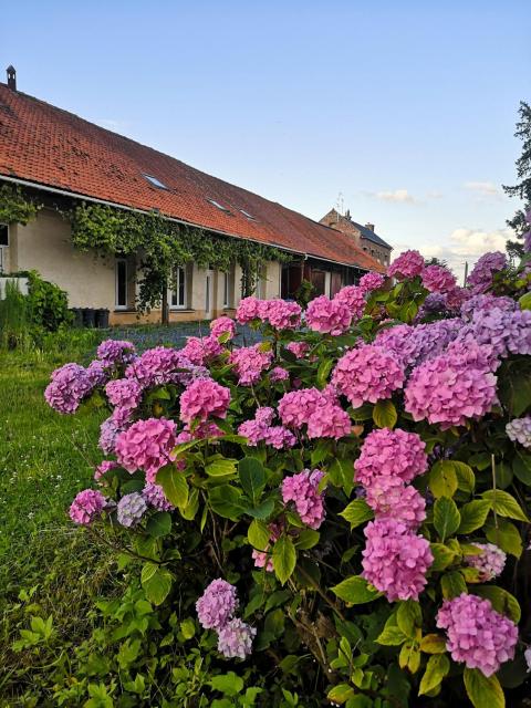 Eco-Gîte de L'Etang Présent