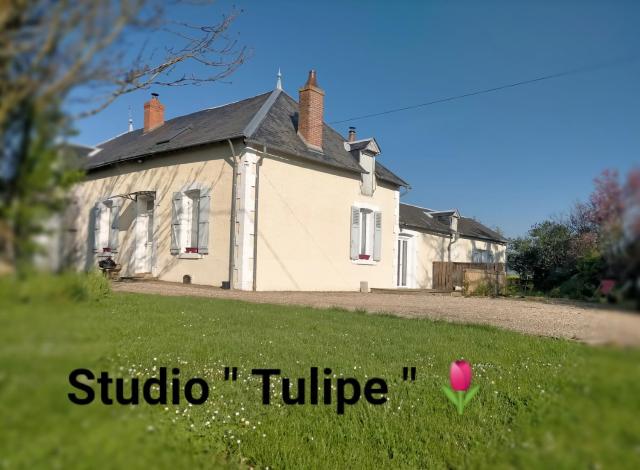 studio ''tulipe'' dans le Berry