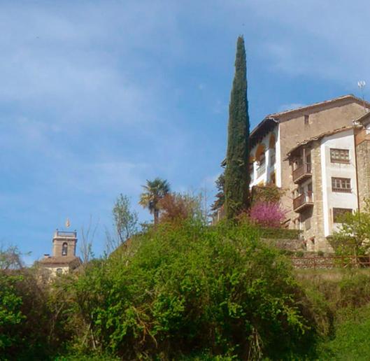 CAL TÒFONES, Baixos 2. Allotjament turístic a Borredà