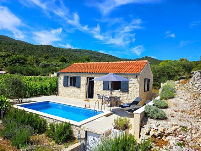 Stone house in vineyard