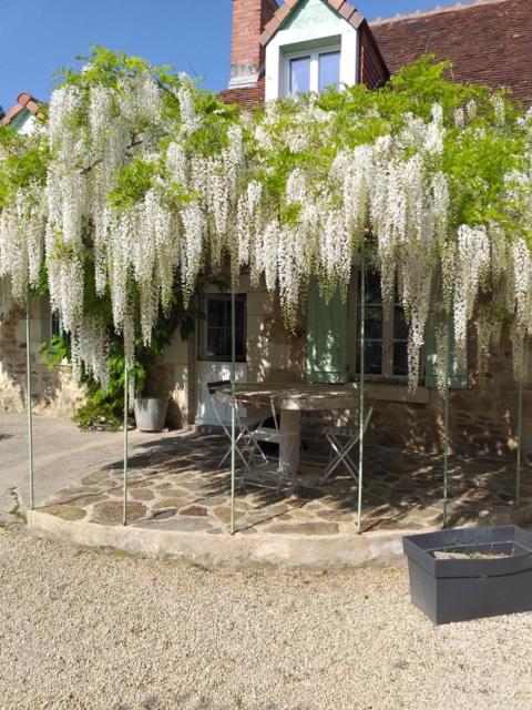 Chambres d'hôtes, " au coeur de la nature, et du calme"