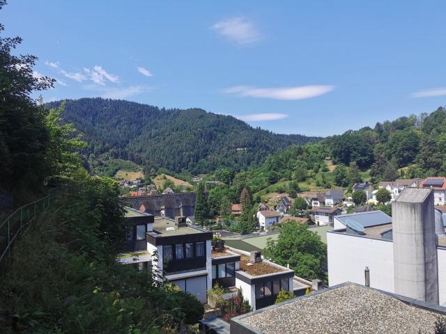 Terrassenwohnung mit toller Aussicht & zentrumsnah