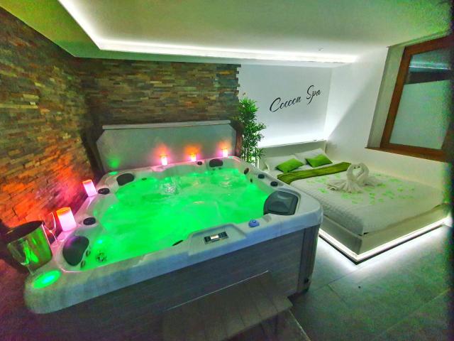 COCOON SPA-4 Pers-Jacuzzi-Parking-Jardin-Clim-Colmar