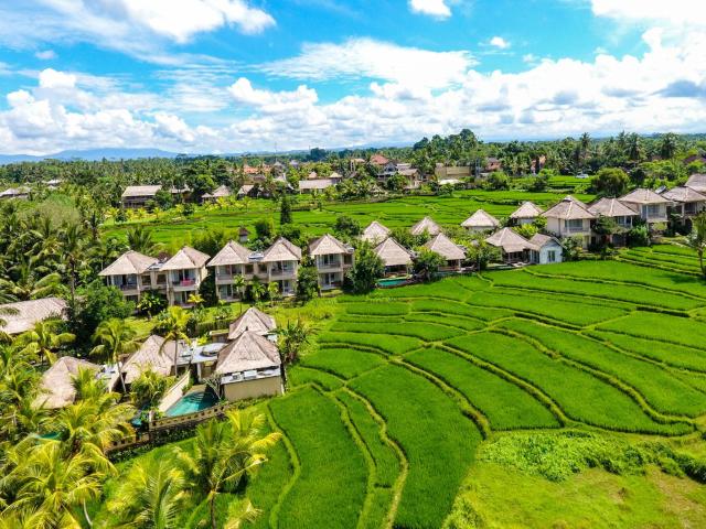 Mesari Hotel Ubud