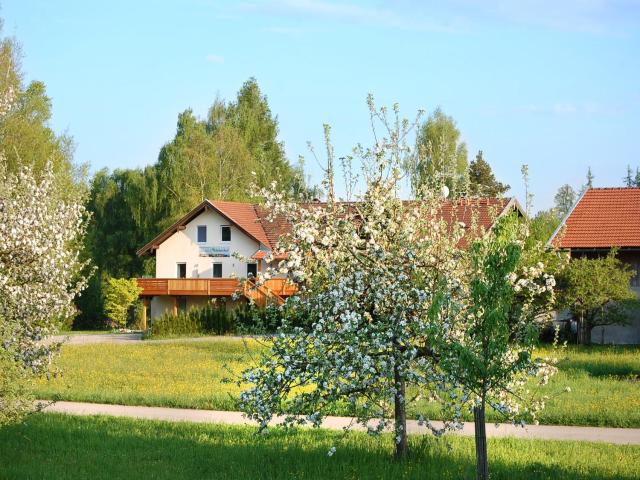 Birkenhof