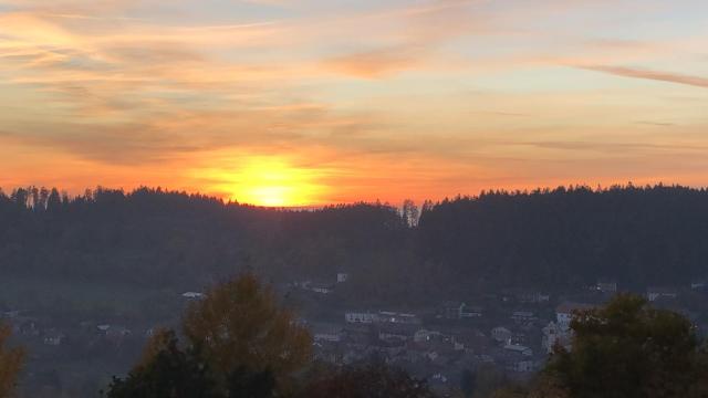 FERIENWOHNUNG FORSTPANORAMA