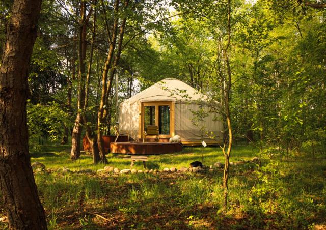 Dacza Puchacza Glamping