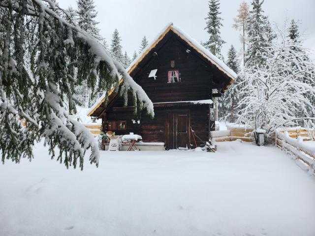 Urige Waldbienenhütte