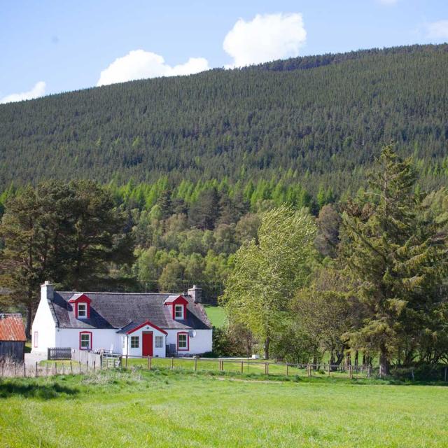 The Croft Cottage - near Aviemore