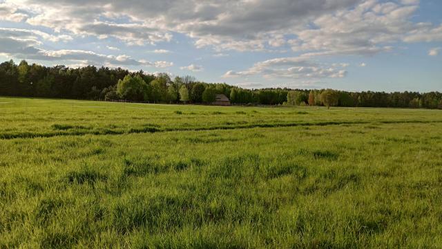 Kolorowe Wzgórze agroturystyka i konie