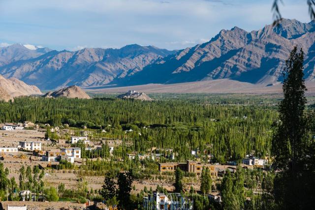 Thiksey Gompa View Homestay