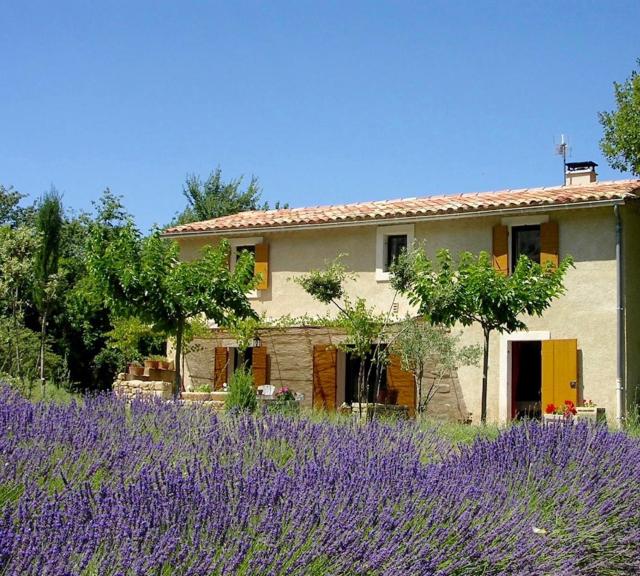 Gîte St Roch en Luberon