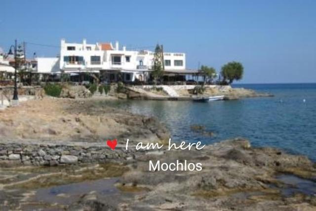 on the sea Despoina apartment at Mochlos Creta