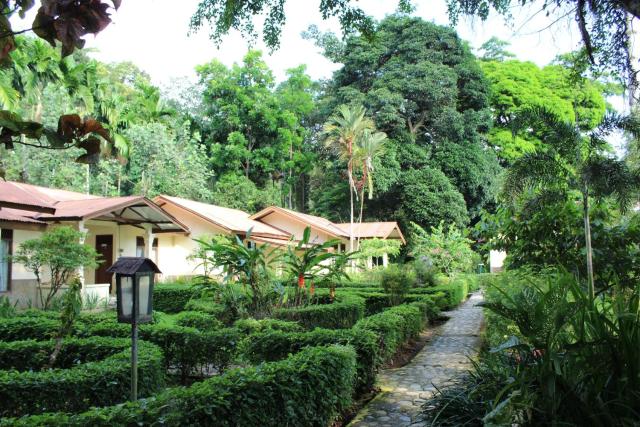 Ecolodge Bukit Lawang - Hotel&JungleTREK