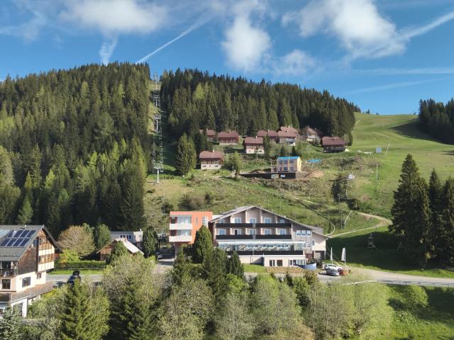 Hotel Alpengasthof Hochegger