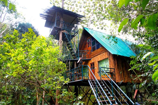 Khao Sok Tree House Resort