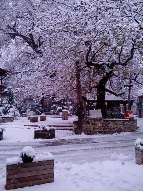 House On The Mountain