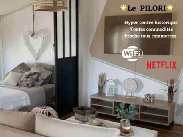 Le Pilori - Centre Historique, en face du musée du Pilori, à 2mn à pied de l'hyper centre et proche toutes commodités, WIFI-Netflix