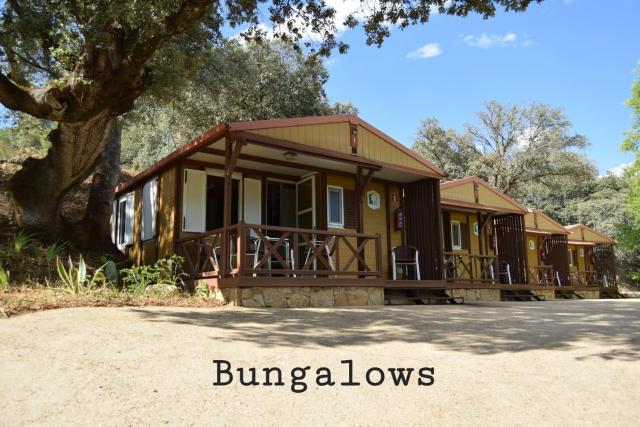 Bungalows, Camping Vega de Francia