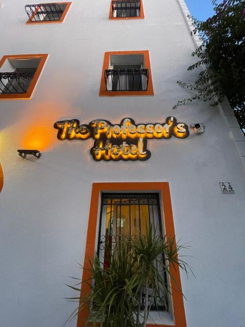 The Professor's Hotel