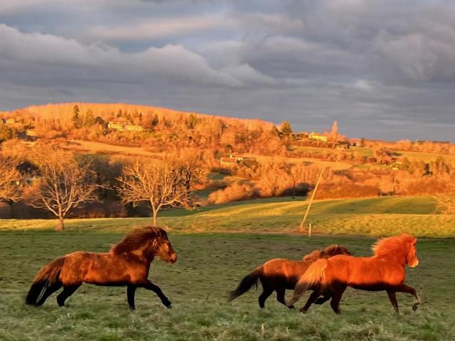 gîte sivade - vakantiehuis op top lokatie - honden welkom