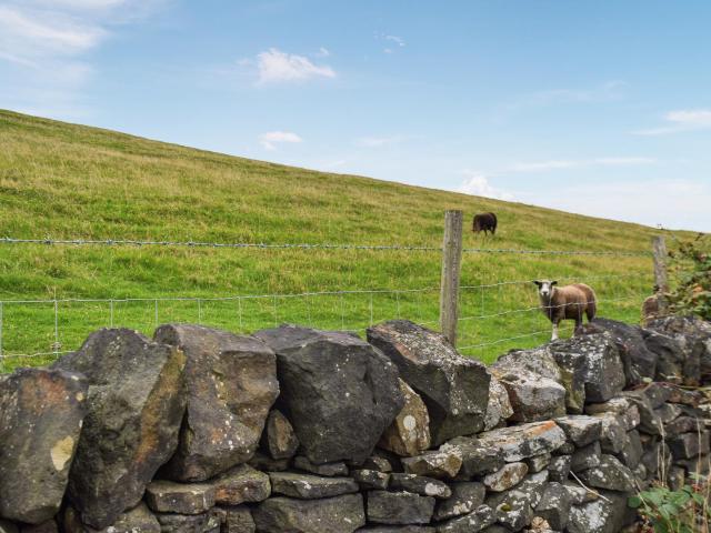 North Moor Farm Shepherds Hut