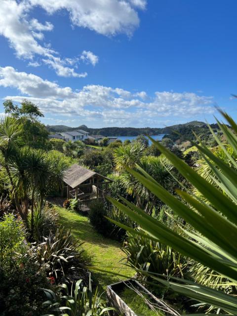 Tutukaka Sunrise