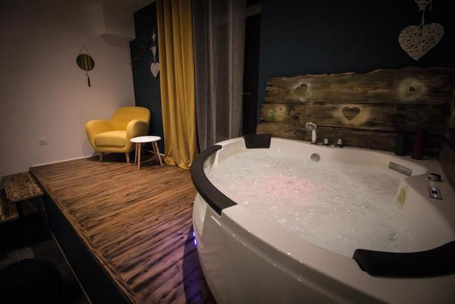 ** Au Canal du Midi - JACCUZZI & luxueux appartements **