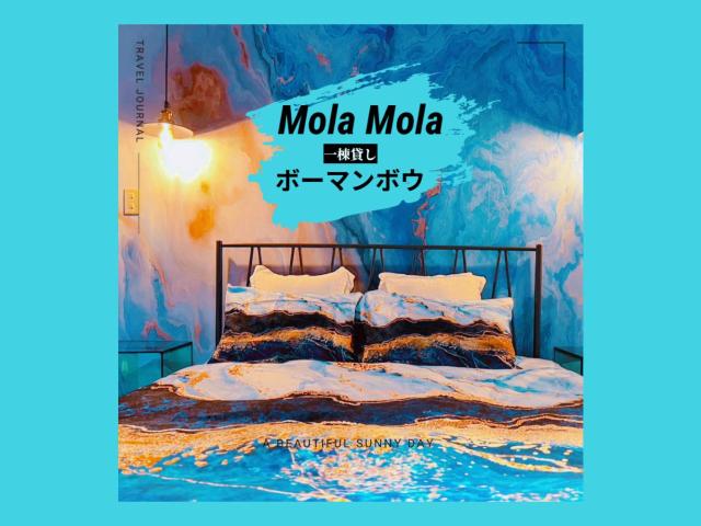 ボーマンボウ 呆呆的翻车鱼 Mola Mola