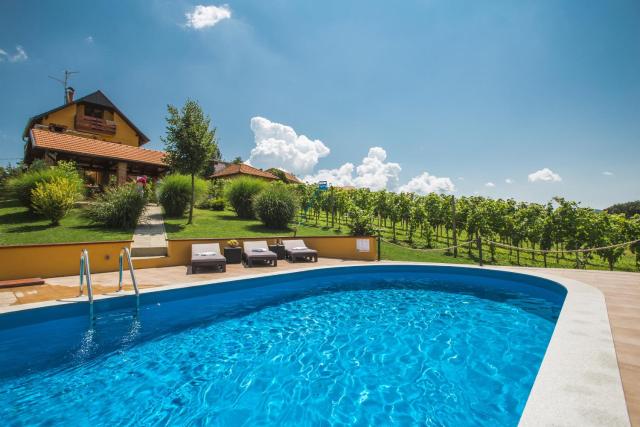 Family friendly house with a swimming pool Varazdinske Toplice, Zagorje - 21750