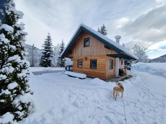 Chalet am Teich Familie Gänser