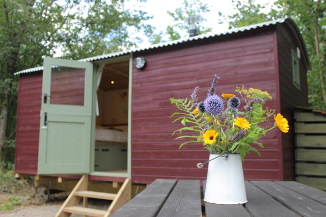 Cosy Shepherd's Hut with Hot Tub